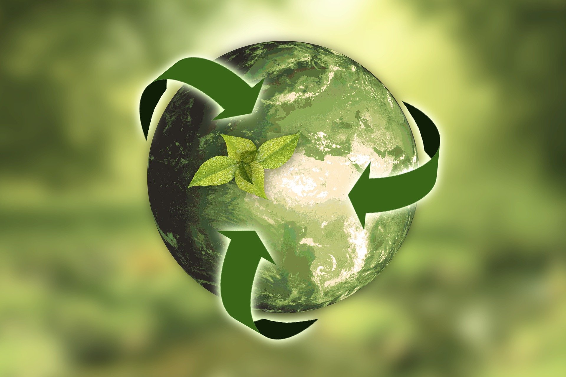 Recykling – jakie korzyści przynosi i jak może przyczynić się do zmniejszenia odpadów
