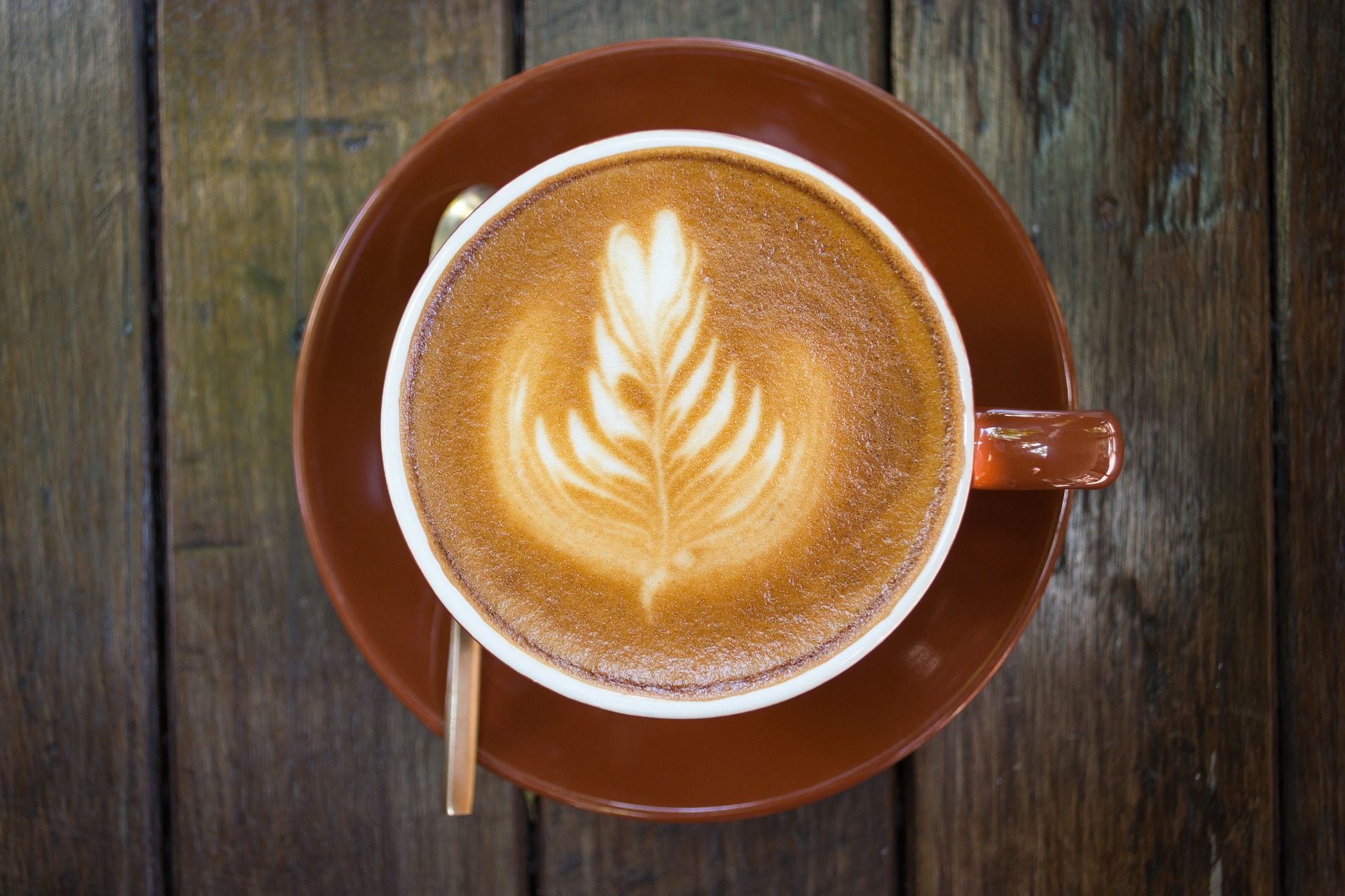 Kawa dla koneserów: Poznaj najbardziej ekskluzywne gatunki i pochodzenie kawy