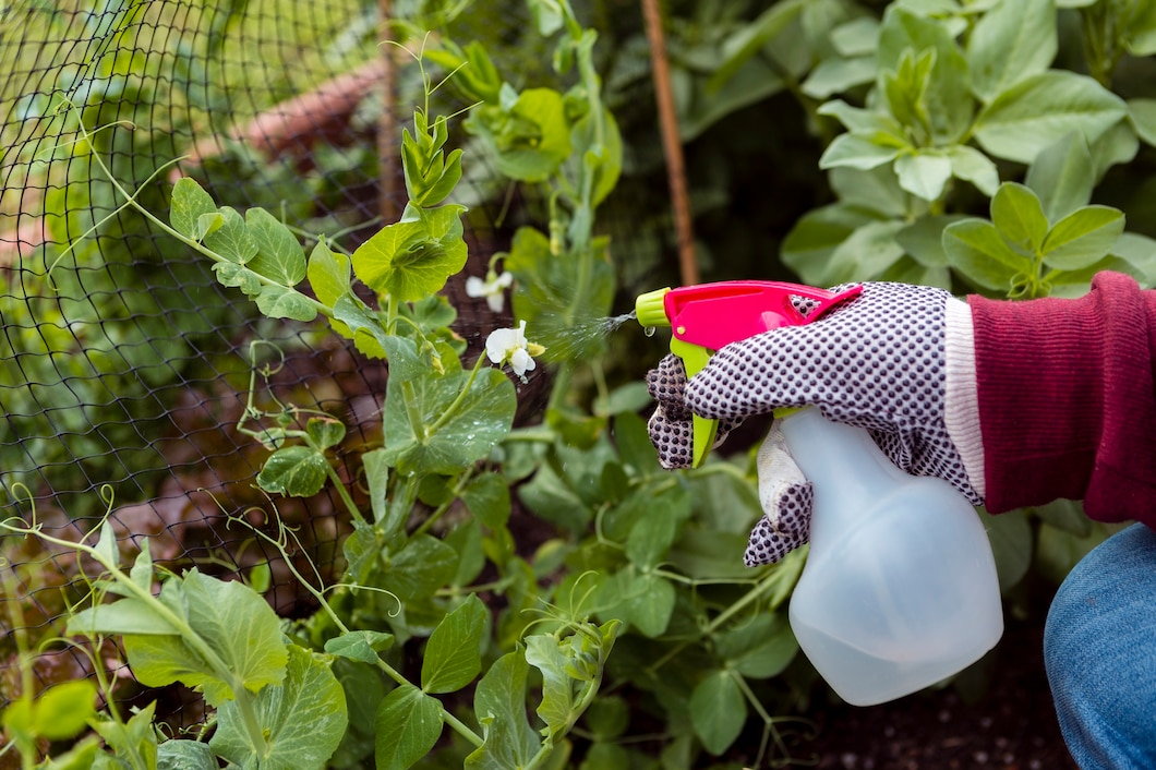 Jak skutecznie chronić rośliny przed chwastami i insektami: przewodnik dla ogrodników