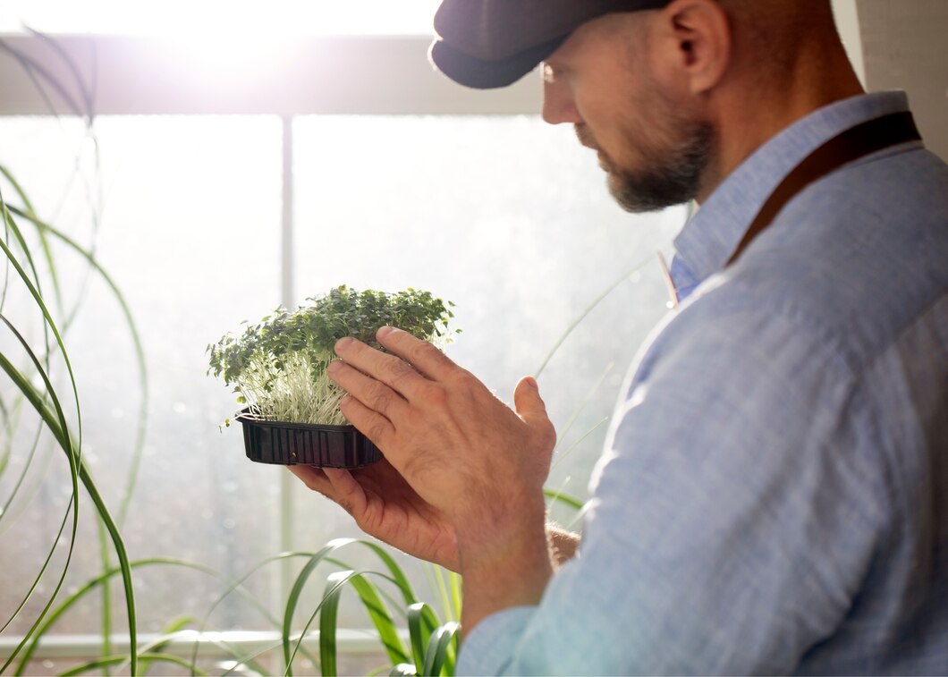 Jak mierniki EC/PPM mogą poprawić efektywność Twojej domowej uprawy roślin